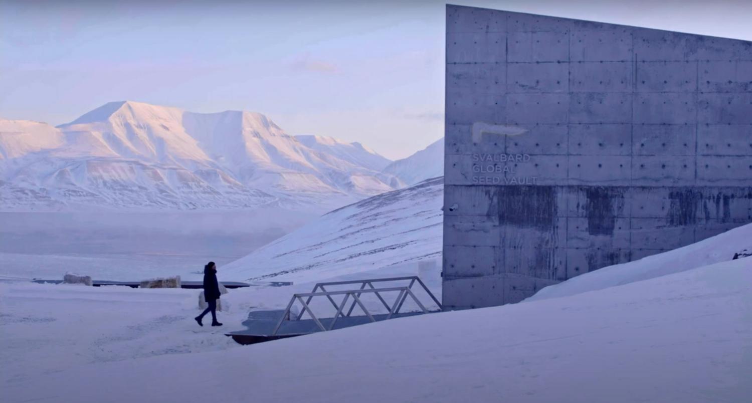The view from the Arctic World Archive. Svalbard’s cold, dark, dry conditions are perfect for preservation. Photograph courtesy of AWA