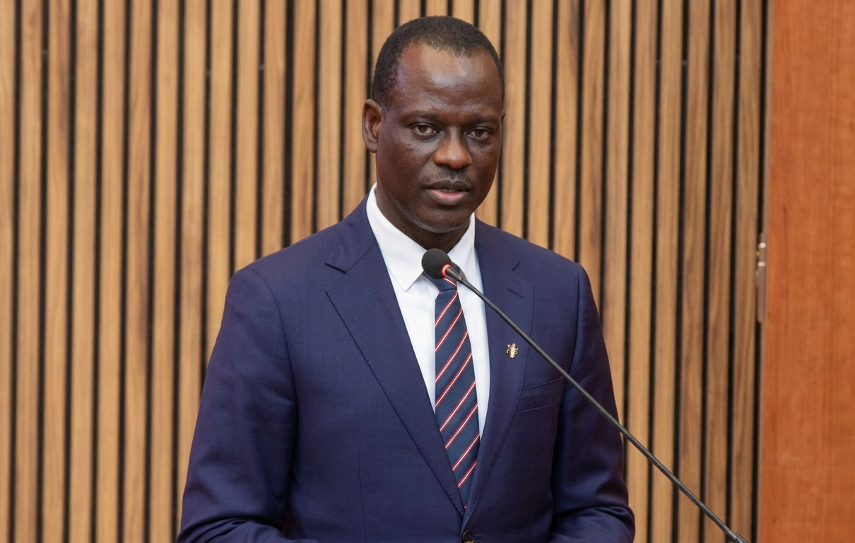 Taiwo Oyedele - Honourable minister of Finance and coordinatin Minister of the economy federal republic of Nigeria 1