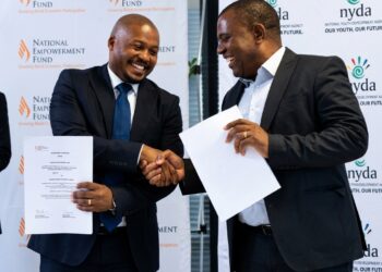 South Africa youth business fund, R100 million youth fund, South Africa youth unemployment, youth entrepreneurship South Africa, National Youth Development Agency, NYDA, National Empowerment Fund, NEF, youth business funding, SME funding South Africa, young entrepreneurs South Africa, youth-owned businesses, South Africa entrepreneurship, African business funding Amebopreneur.com